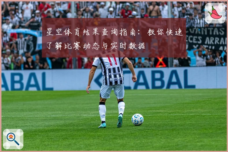 星空体育结果查询指南：教你快速了解比赛动态与实时数据