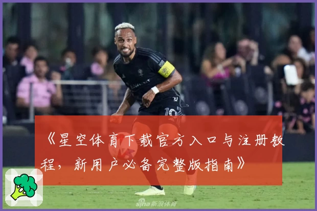 《星空体育下载官方入口与注册教程，新用户必备完整版指南》