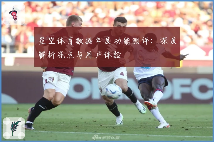 星空体育数据年度功能测评：深度解析亮点与用户体验